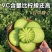 正宗水果萝卜，味美多汁，货好，价不高，全国发货，欢迎进店
