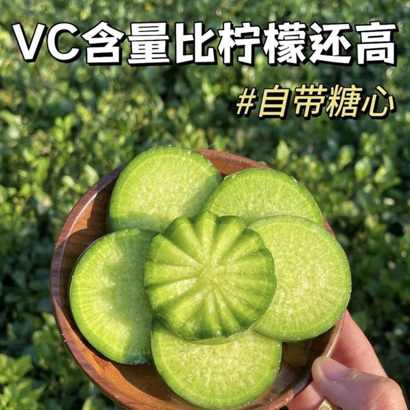 正宗水果萝卜，味美多汁，货好，价不高，全国发货，欢迎进店
