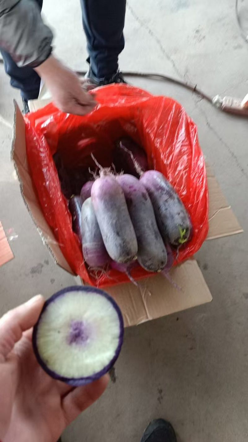 紫美紫喜口感爆汁冰激凌水果萝卜，质量保证，按需包装