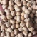 印度中颗粒鹰嘴豆桃豆鸡豆8MM