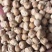 印度中颗粒鹰嘴豆桃豆鸡豆8MM