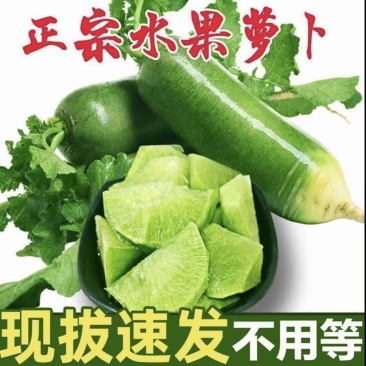 淮南市，董洪湖，位于淮河西岸，口感，条型好，适合电商