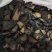 肉苁蓉硬大芸大云新货上市品质好紫轩堂药业