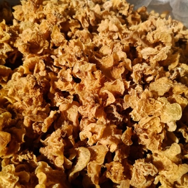 粉木耳现货供应商种植场粉木耳鹿肚耳粉木耳粉木耳粉木耳粉耳