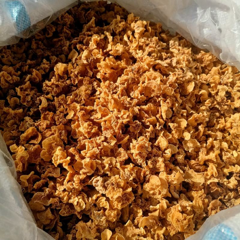 粉耳自产自销现货羊肚耳粉木耳产地购销鹿肚耳粉木耳上市粉耳