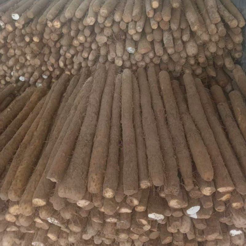 推荐-白玉长条/视频看货/对接电商商超批发市场