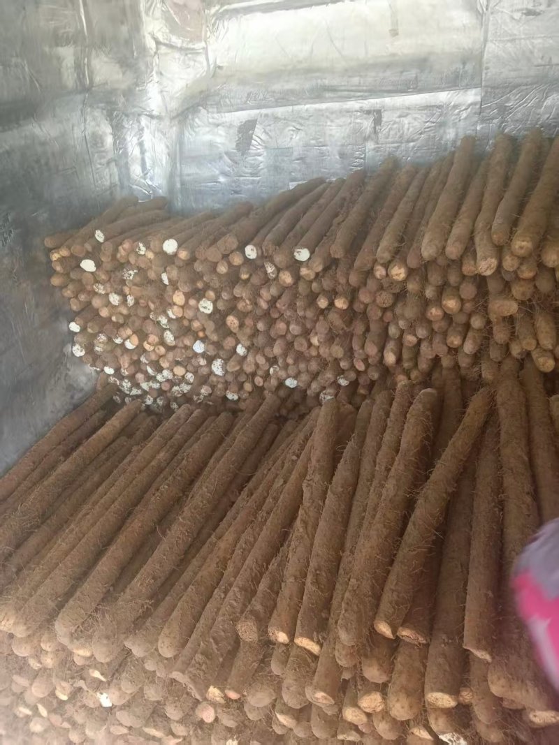 推荐-白玉长条/视频看货/对接电商商超批发市场