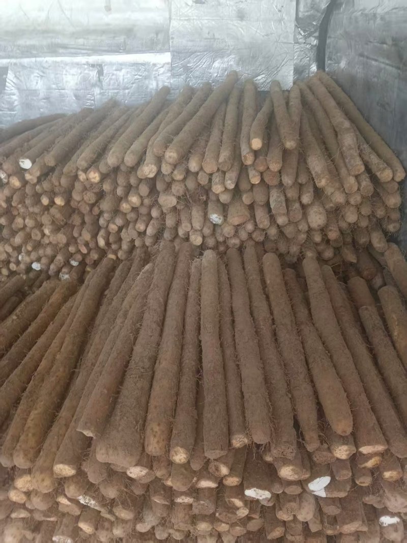 推荐-白玉长条/视频看货/对接电商商超批发市场
