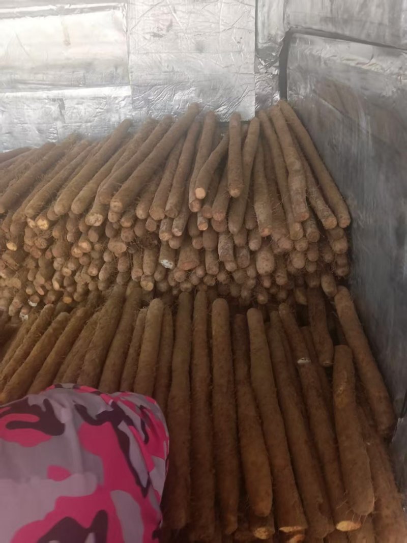 推荐-白玉长条/视频看货/对接电商商超批发市场