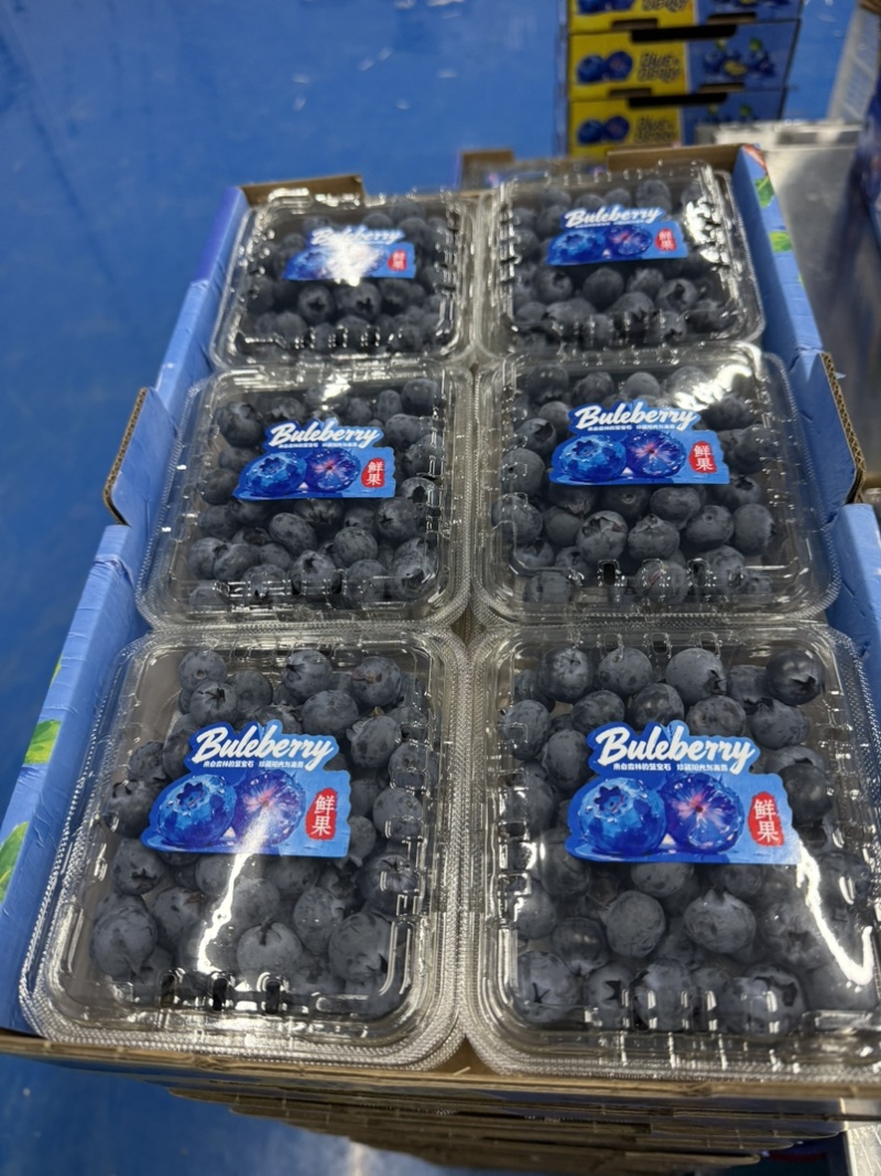 蓝莓125g/盒12合1总重1.5公斤