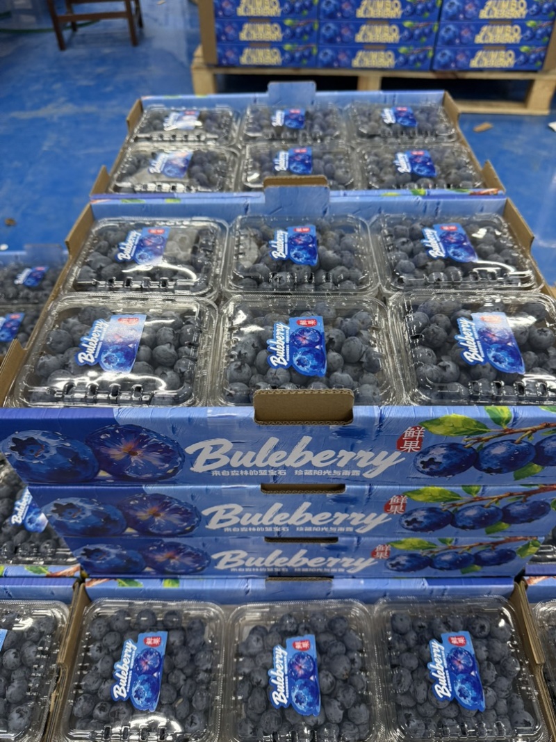 蓝莓125g/盒12合1总重1.5公斤