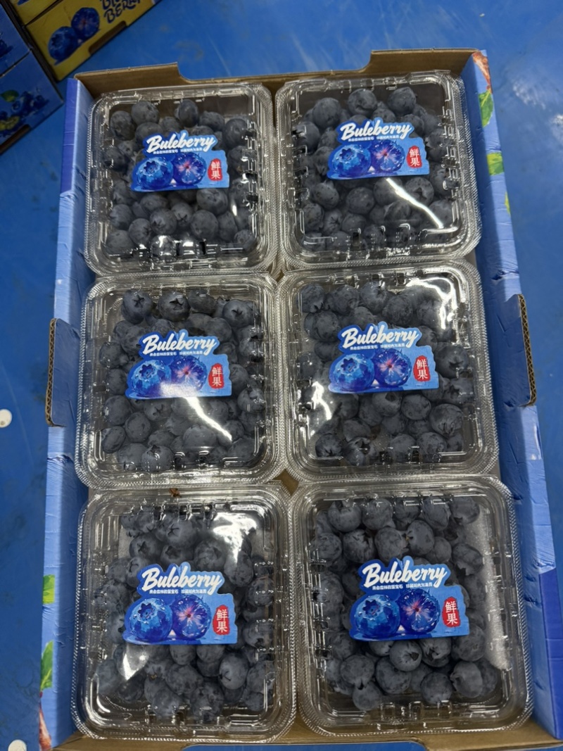 蓝莓125g/盒12合1总重1.5公斤
