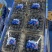 蓝莓125g/盒12合1总重1.5公斤