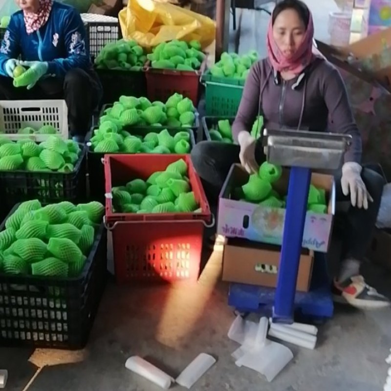 苹果枣
