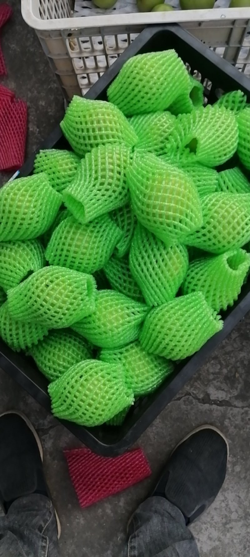 苹果枣