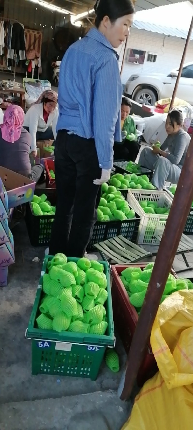 苹果枣