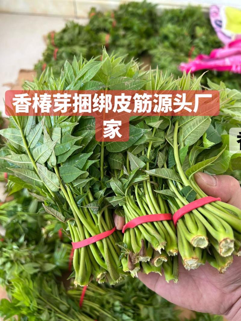 蔬菜专用捆绑皮筋