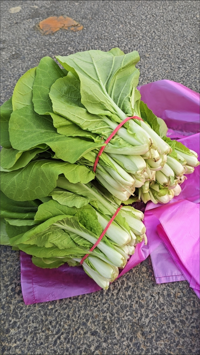 蔬菜专用捆绑皮筋