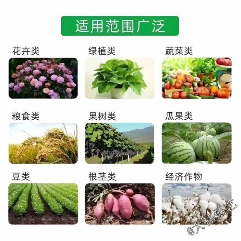 99%磷酸二氢钾膨化闪溶飞防级1000克促花壮苗提高座果