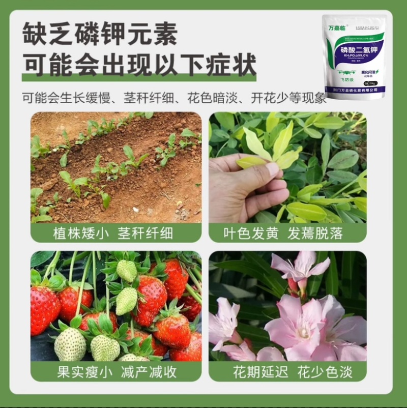 99%磷酸二氢钾膨化闪溶飞防级1000克促花壮苗提高座果