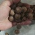 坚果夏威夷果20-22成品余20吨性价比手慢无