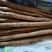 邹平山药品质保证服务周到产地直发价格美丽