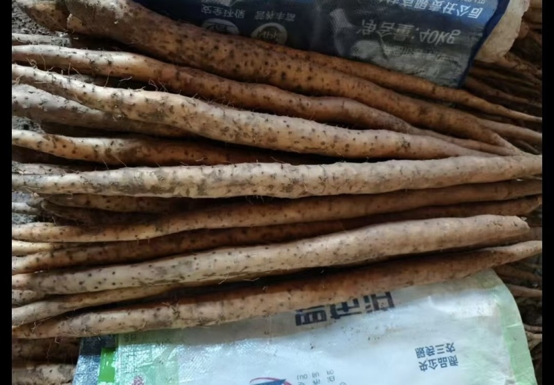 邹平山药品质保证服务周到产地直发价格美丽