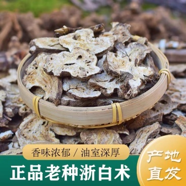 浙白术片出售新货浙江磐安产地发货