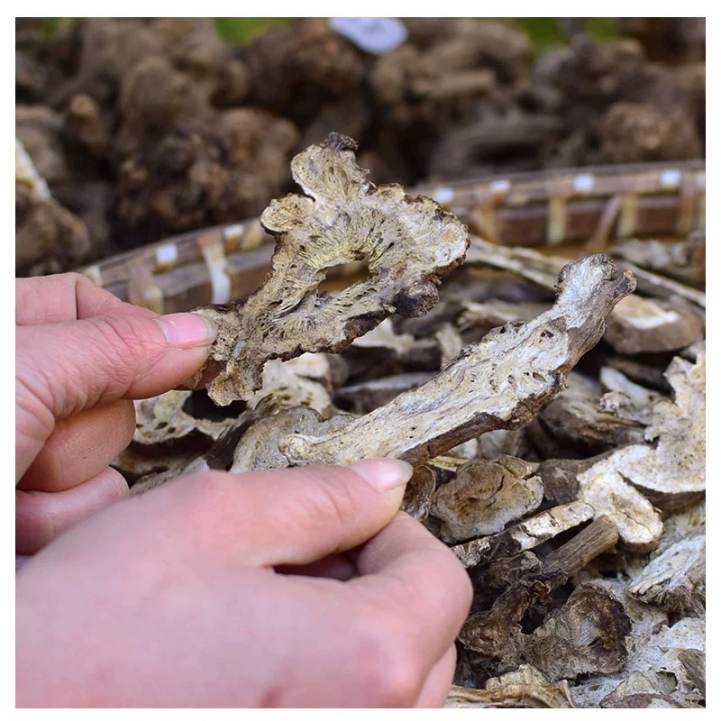 浙白术片出售新货浙江磐安产地发货