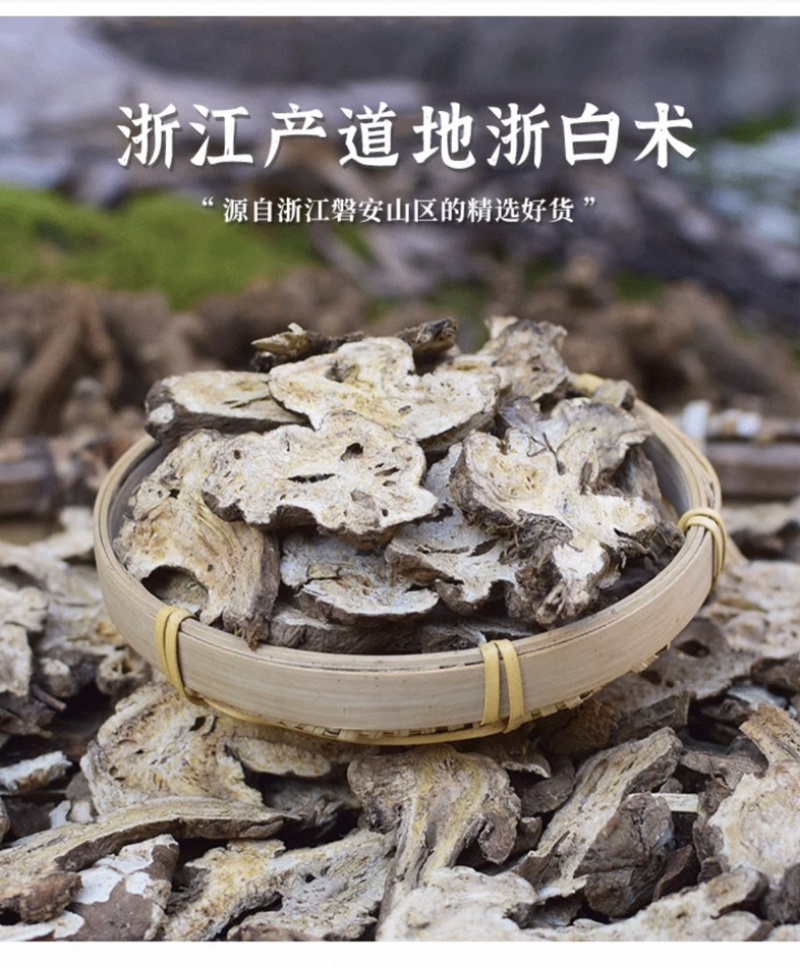 浙白术片出售新货浙江磐安产地发货