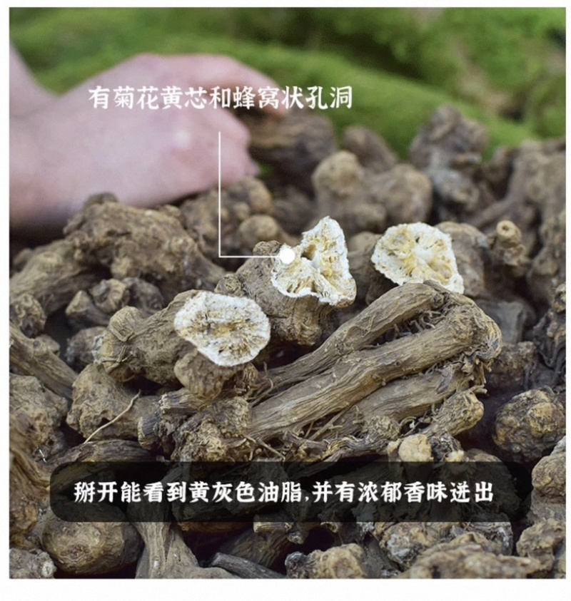 浙白术片出售新货浙江磐安产地发货