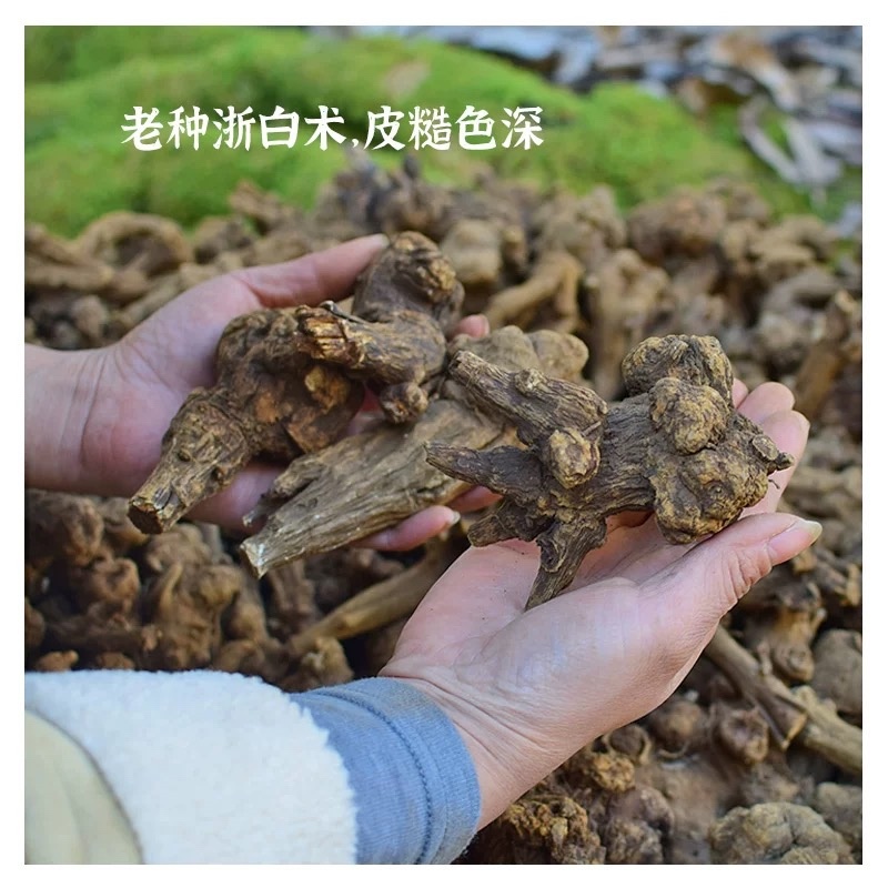 浙白术片出售新货浙江磐安产地发货