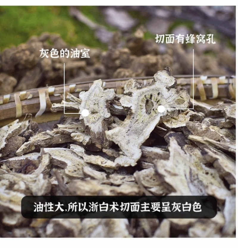 浙白术片出售新货浙江磐安产地发货