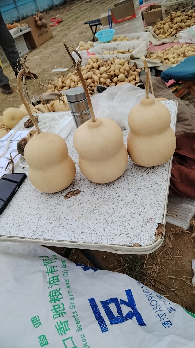 中号葫芦