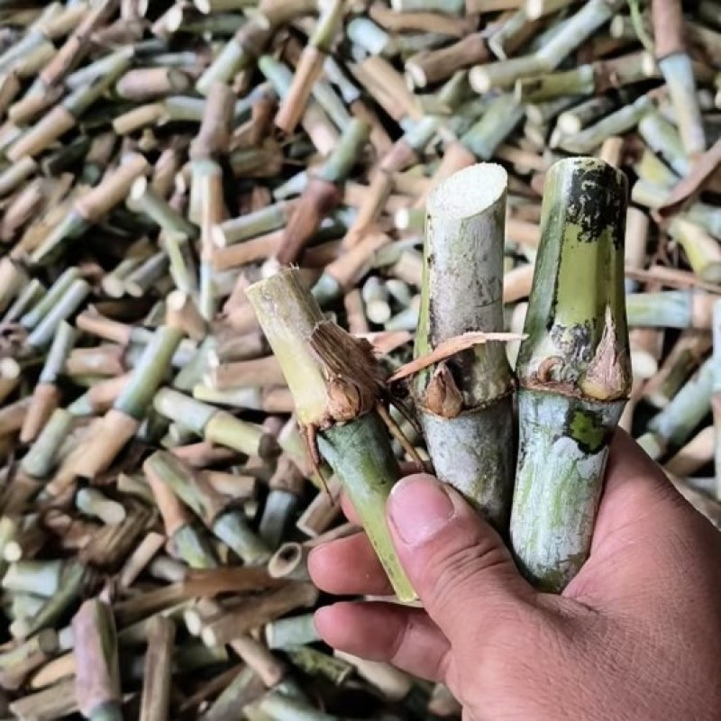 金牧良草