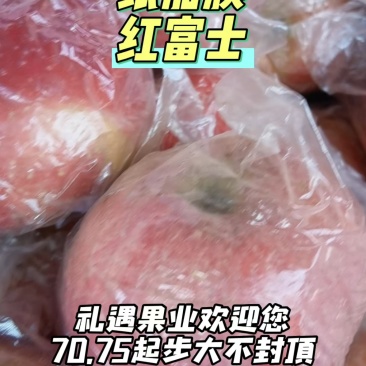 平原纸加膜红富士苹果/条红片红果口感酥脆【咸阳产区热卖】