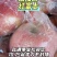 平原纸加膜红富士苹果/条红片红果口感酥脆【咸阳产区热卖】