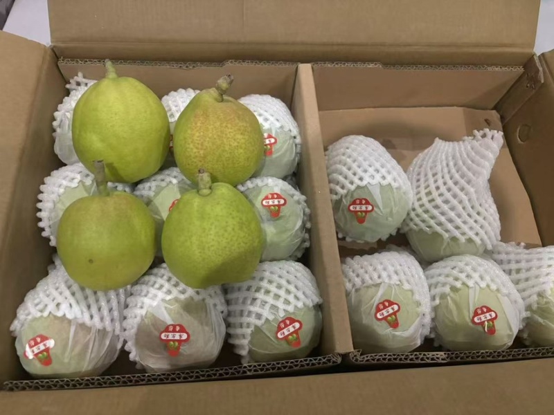 库尔勒香梨