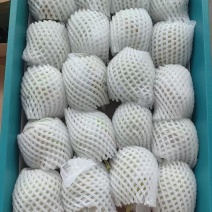 库尔勒香梨