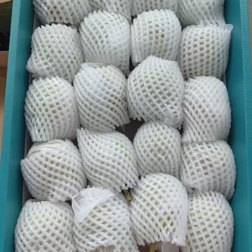 库尔勒香梨