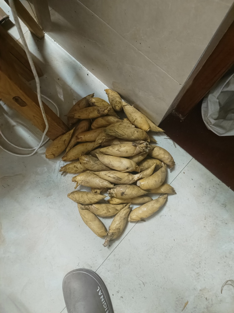广东省粤北仁化长江冬笋干