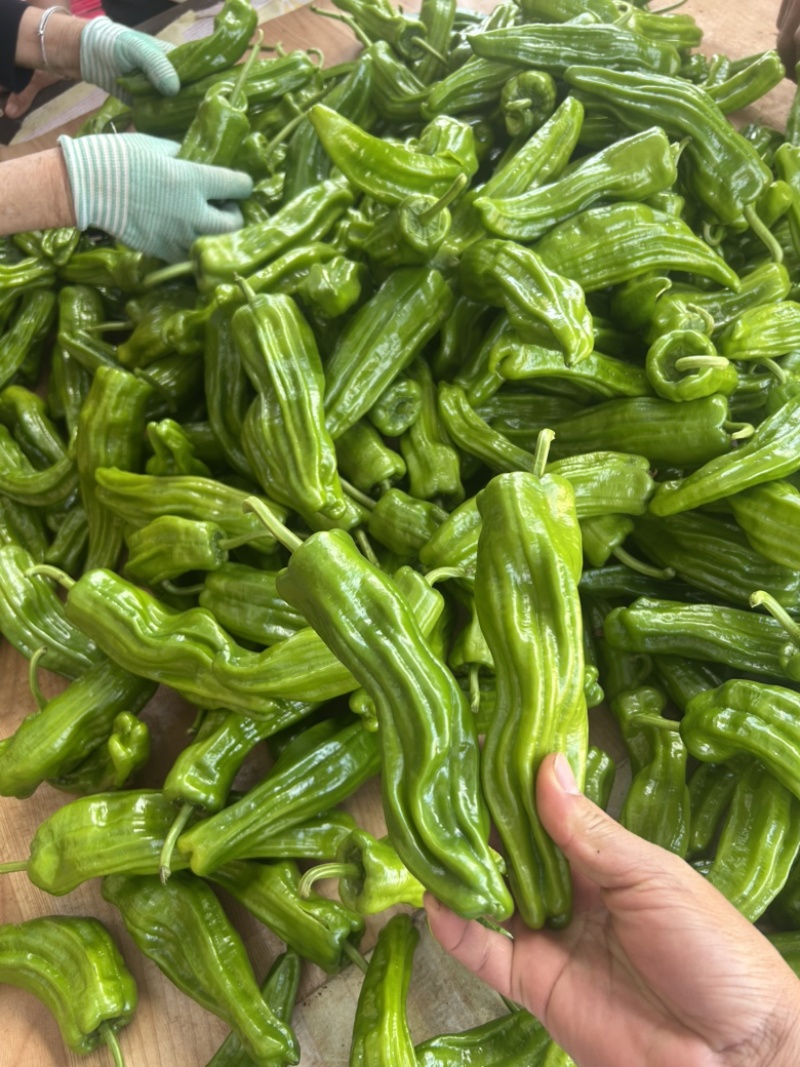 泡椒