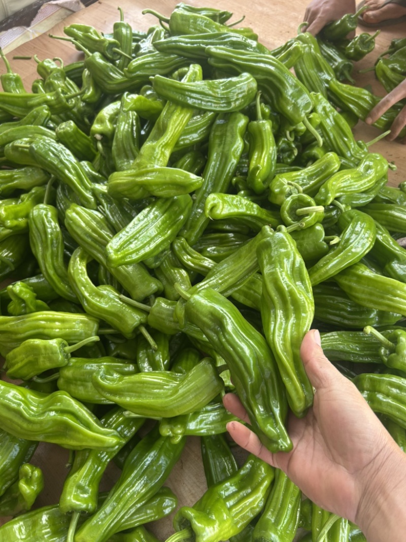 泡椒