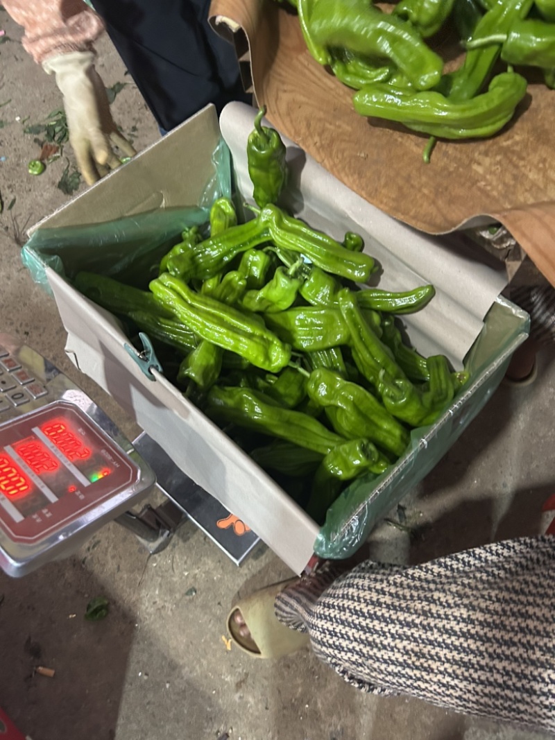 泡椒