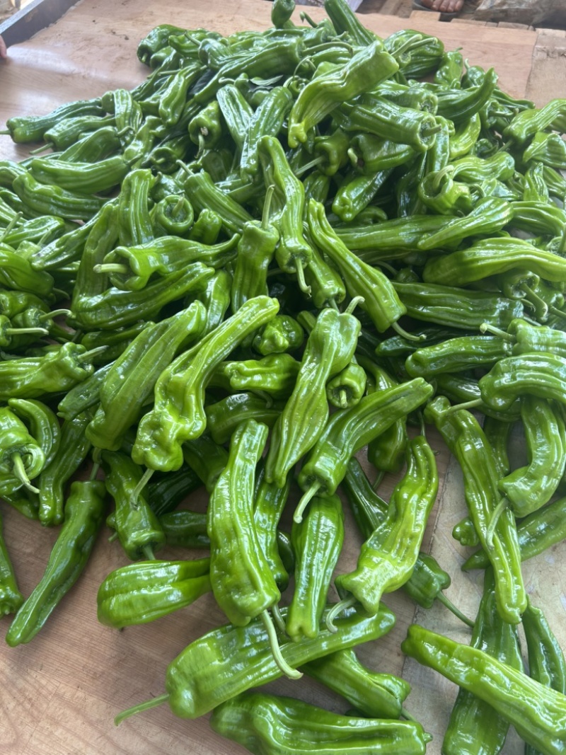 泡椒