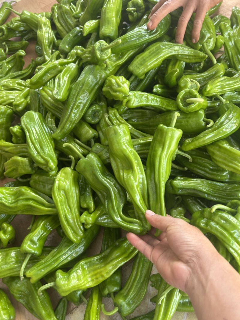 泡椒