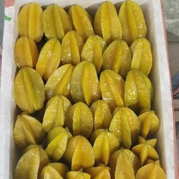 杨桃高次果，工厂榨汁果，大量有货，香蜜杨桃大量供应
