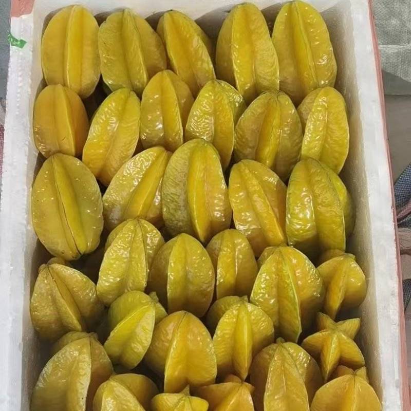 杨桃高次果，工厂榨汁果，大量有货，香蜜杨桃大量供应