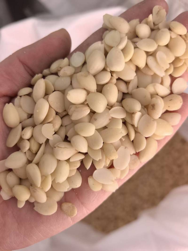 桃仁山桃仁带皮山桃仁去皮山桃仁批发各种规格中药