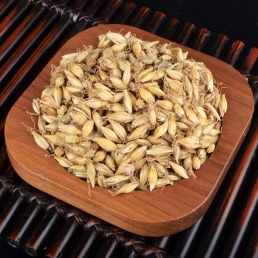 麦芽炒麦芽生麦芽山东产地货源现货供应量大从优